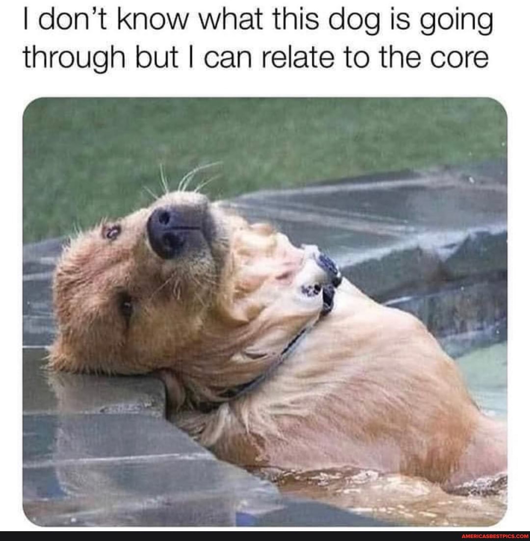 I don't know what this dog is going through but I can relate to the core