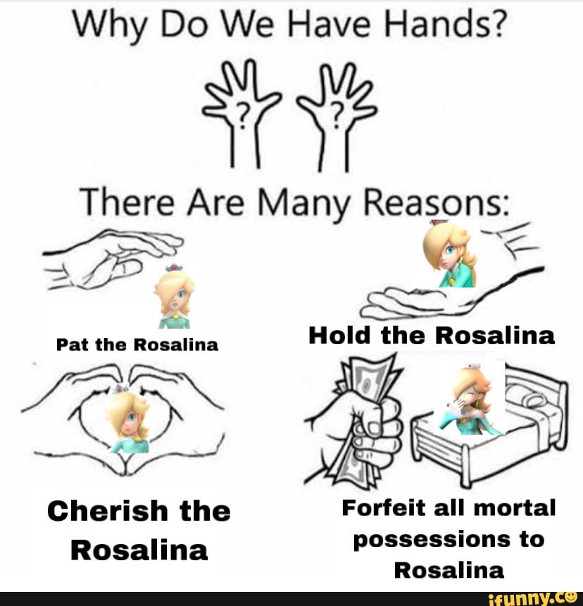 Why Do We Have Hands? There Are Many Reasons:_ Sp NA Hold the Rosalina ...