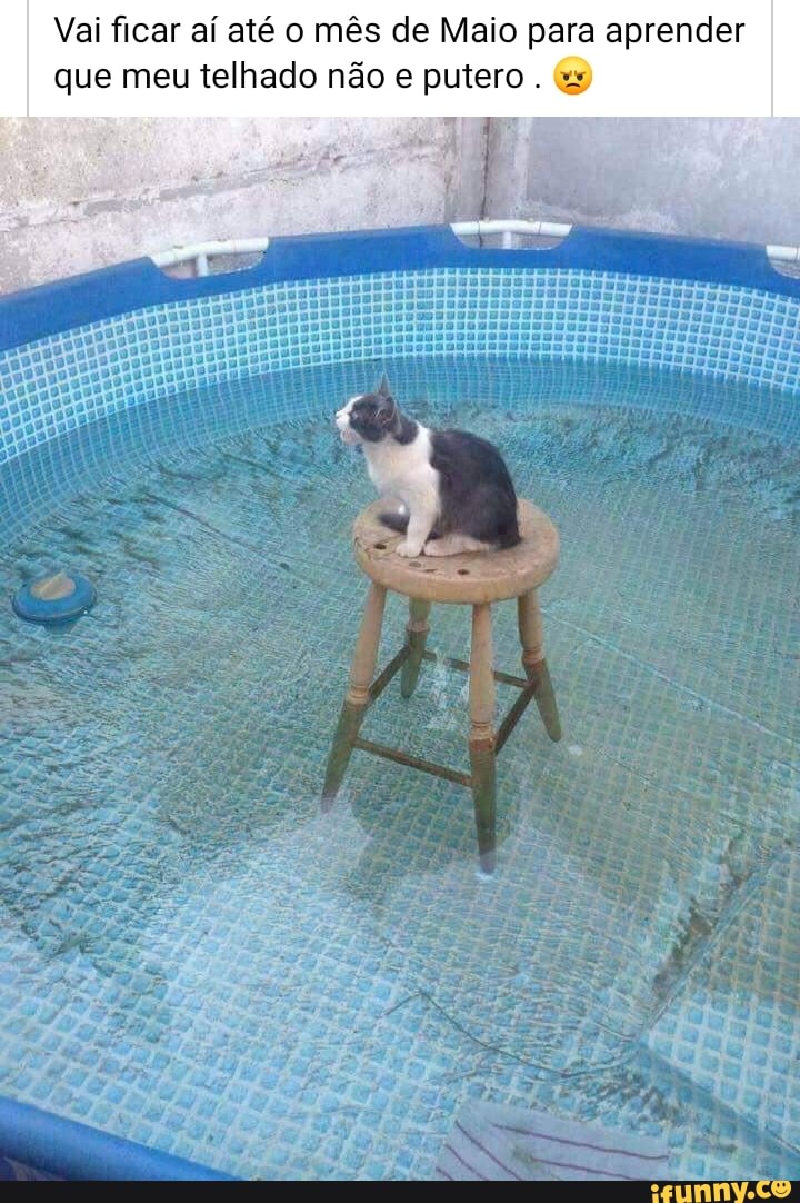 Vai ficar aí até o mês de Maio para aprender
que meu telhado não e putero