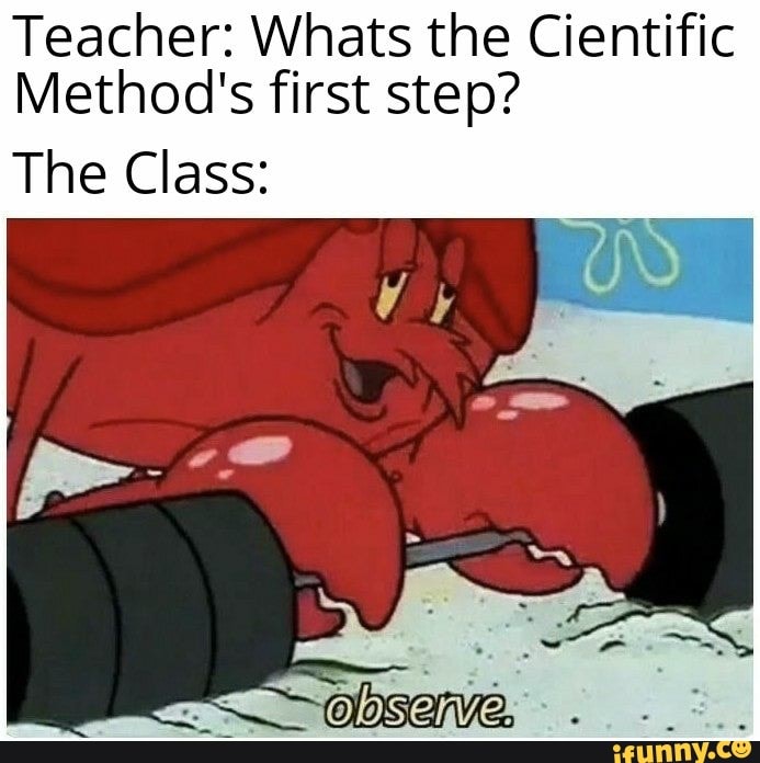 Teacher: Whats the Cientific
Method's first step?
The Class: