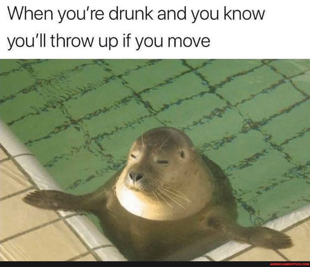 When you're drunk and you know you'll throw up if you move
