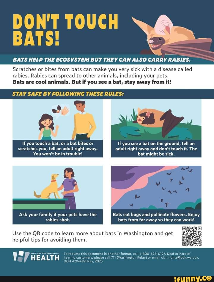 DON'T TOUCH BATS! BATS HELP THE ECOSYSTEM BUT THEY CAN ALSO CARRY