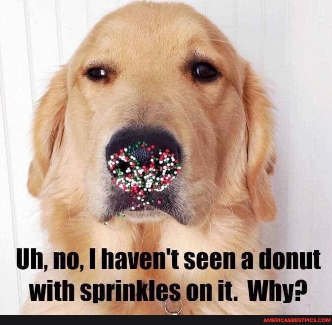 Uh, no, haven't seen a donut with sprinkles on it. Why?