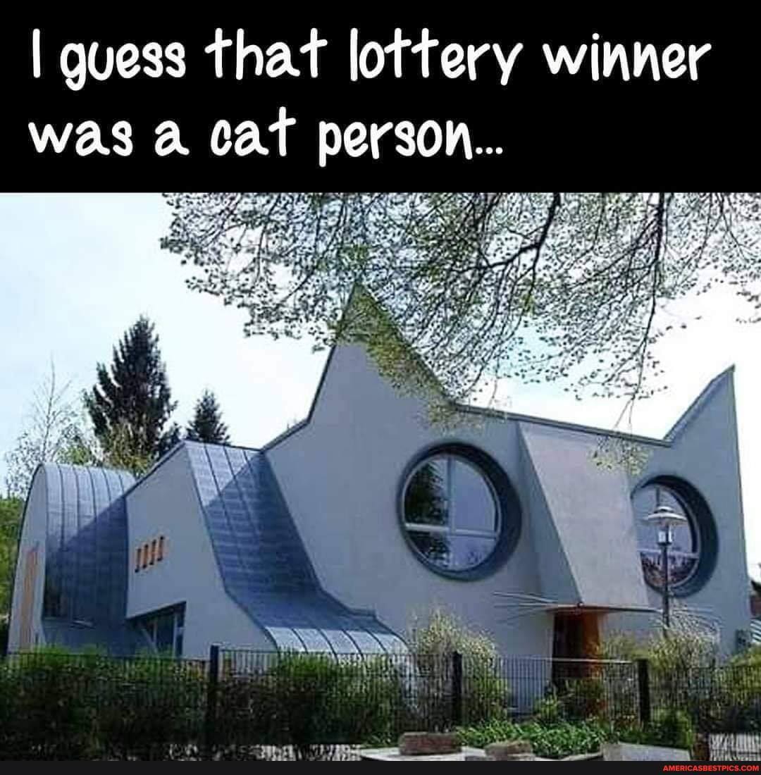 I guess that lottery winner was cat person...