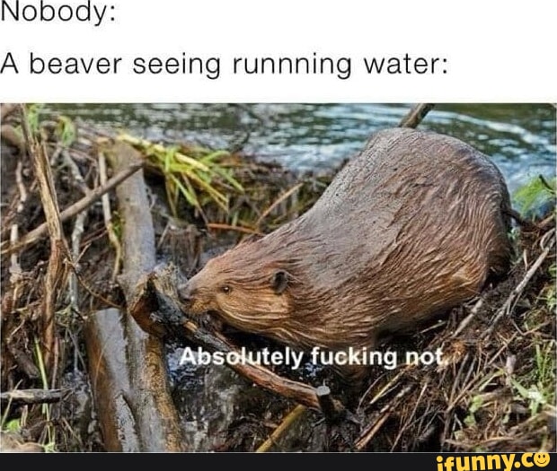 Here's your 