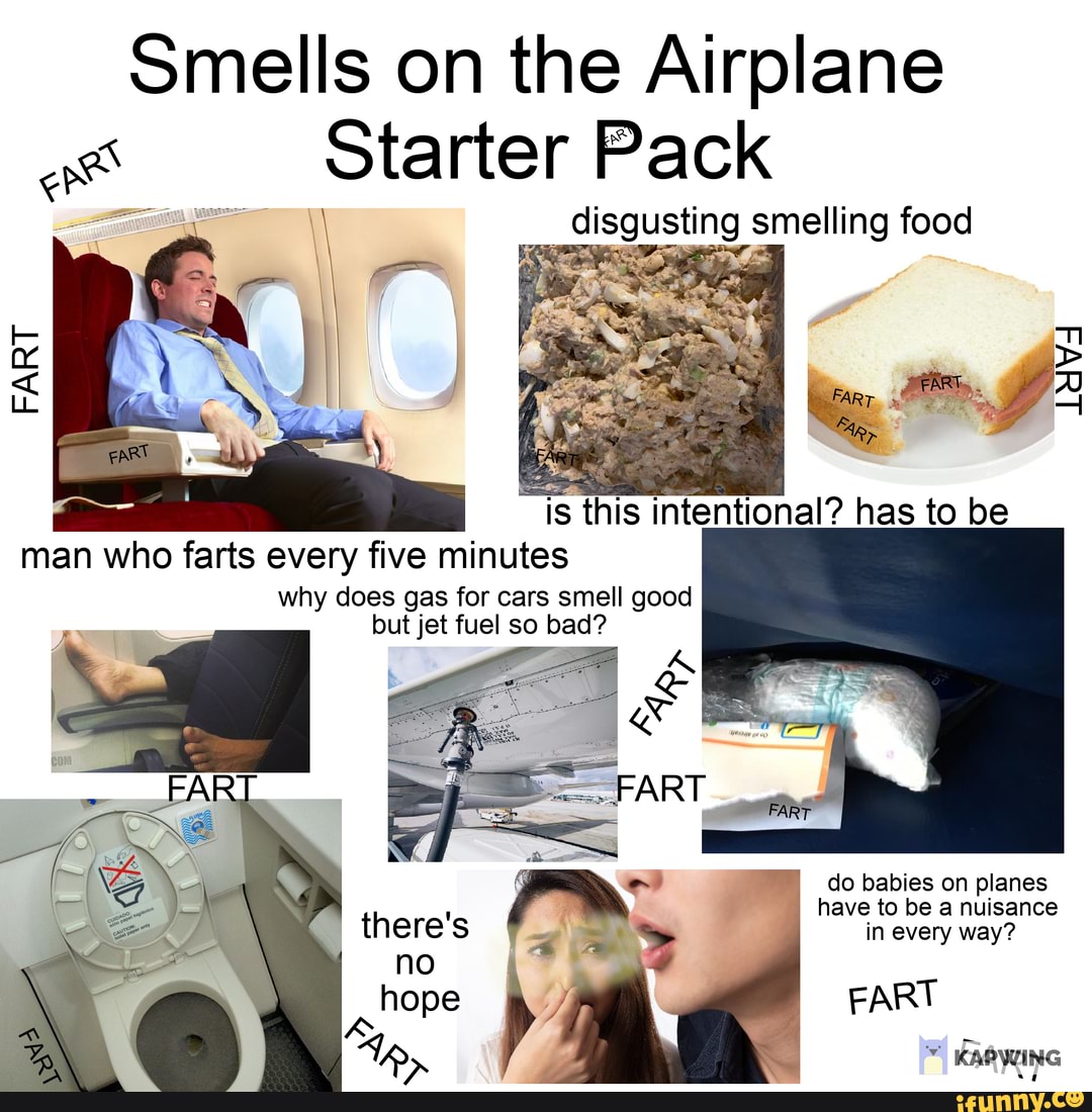Smells on the Airplane as Starter Pack disgusting smelling food FART