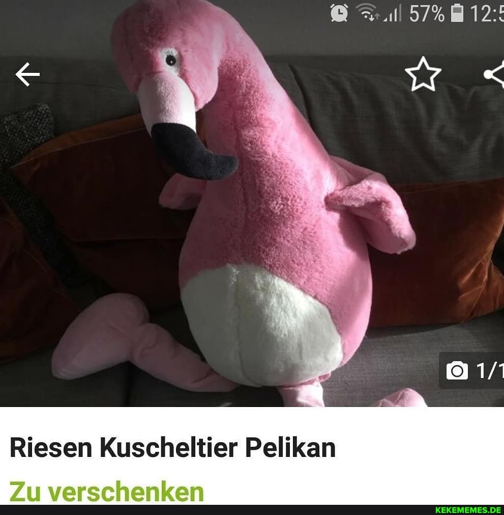 12:
Riesen Kuscheltier Pelikan