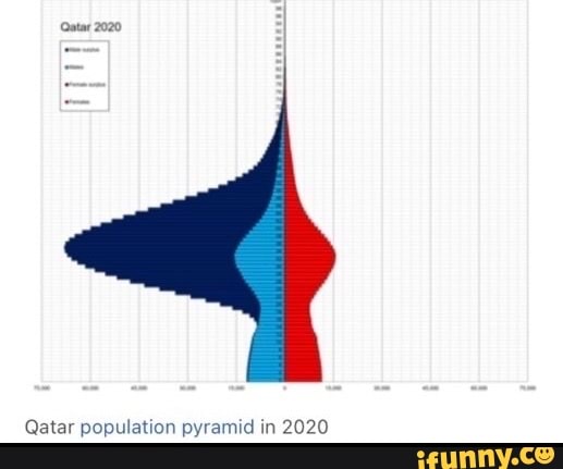 (Qatar 2020 Qatar population pyramid in 2020 - iFunny