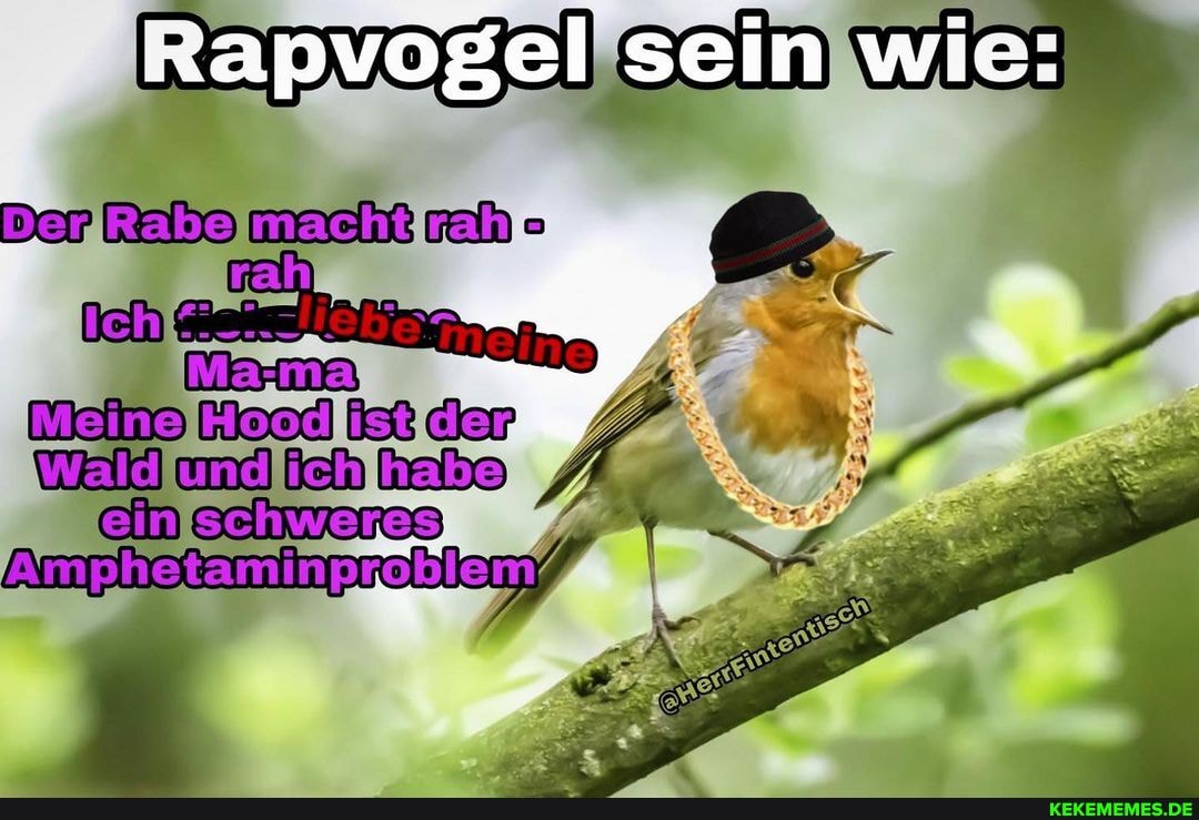 Rapvögel sein wie:
macht
ich habe
schweres