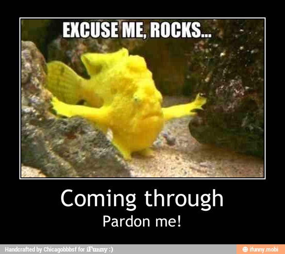 Pardon me! - Coming through
Pardon me!