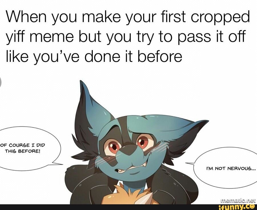 When You Make Your First Cropped Yiff Meme But You Try To Pass It Off Like Youve Done It Before 