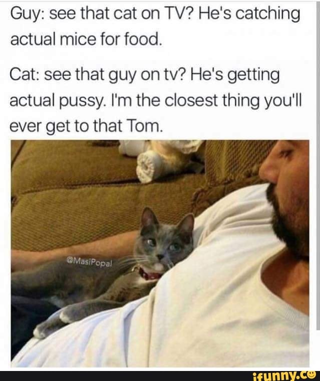 Guy: see that cat on TV? He's catching actual mice for food.
Cat: see that guy on tv? He's getting actual pussy. I'm the closest thing you'll ever get to that Tom.