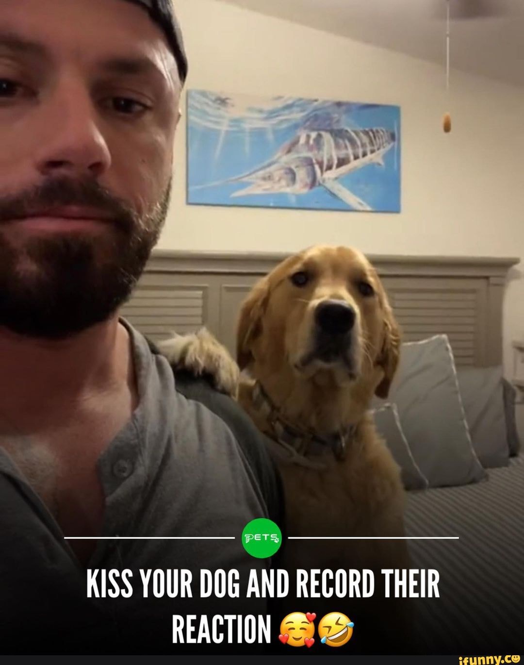 PETS KISS YOUR DOG AND RECORD THEIR REACTION - iFunny