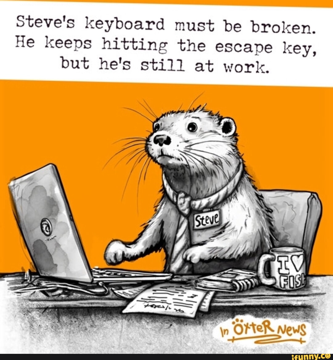 Steve's keyboard must be broken. He keeps hitting the escape key, but ...