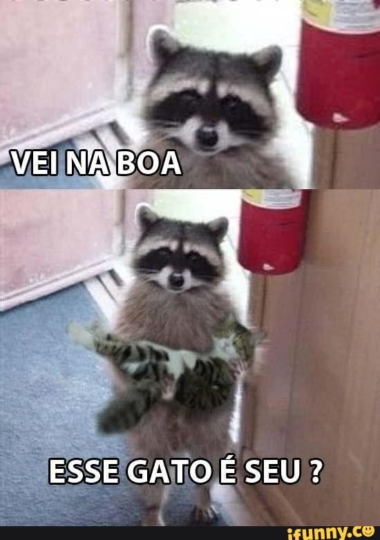 VEINABOA
ESSE GATO É SEU?