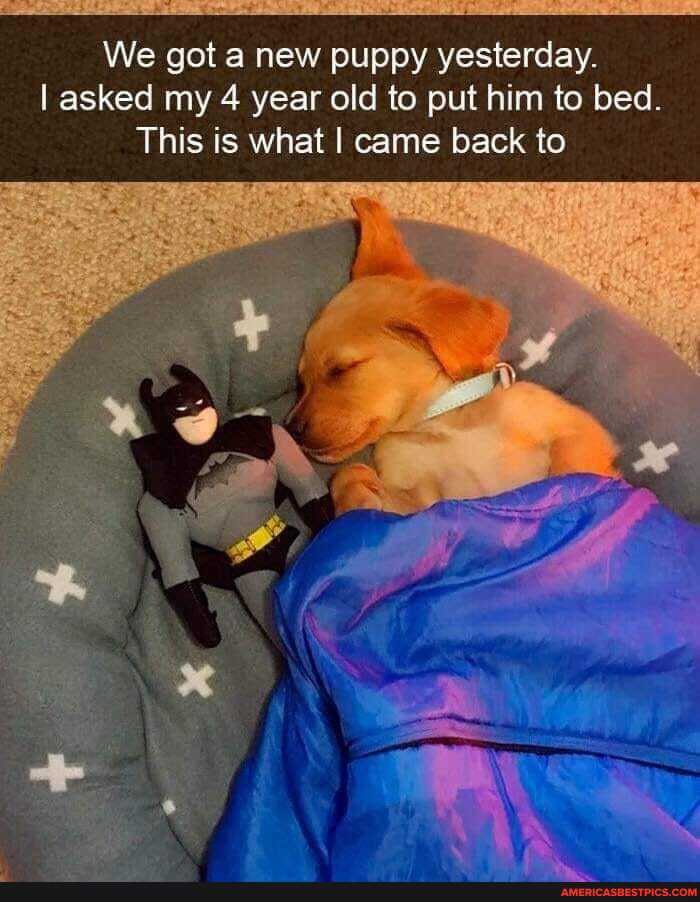 We got a new puppy yesterday.
I asked my 4 year old to put him to bed.
This is what I came back ta
We
