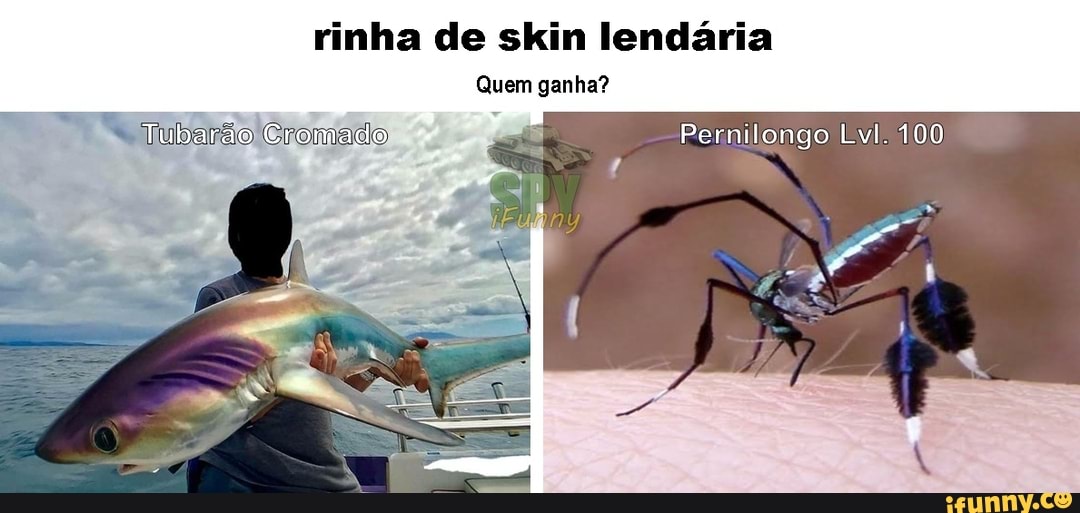 rinha de skin lendária
Quem ganha?
Tubarão
Tubarão Cromado Pernilongo Lvi. 100