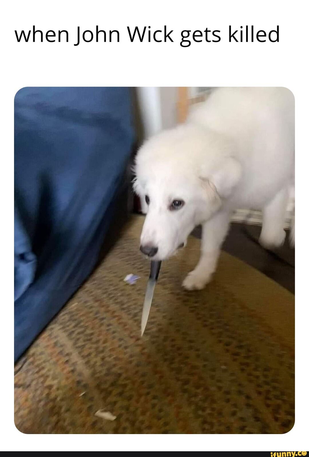 when John Wick gets killed