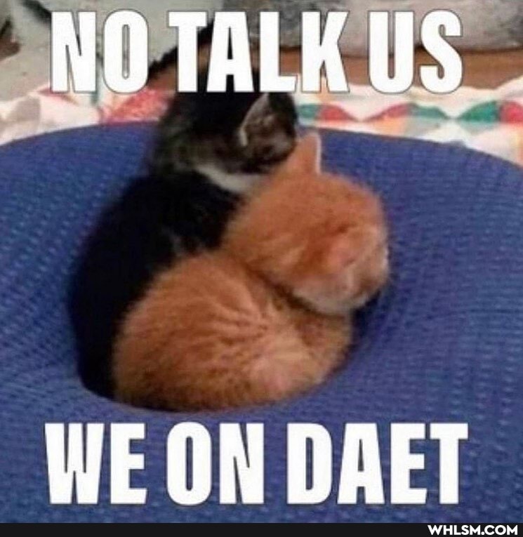 NO TALK US
WE ON DAET