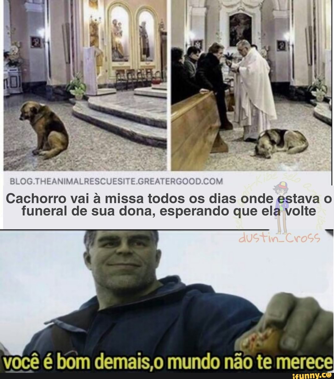 ESCUESITE.GRE
Cachorro vai a missa todos os dias onde estava o funeral de sua dona, esperando que ela volte
você é bom demais,o mundo não te merece