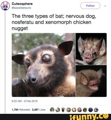 The three types of bat; nervous dog,
nosferatu and xenomorph chicken