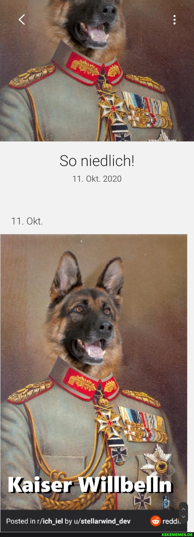 So niedlich!
11. Okt. 2020
Kaiser Willbefin
Posted in by reddi,