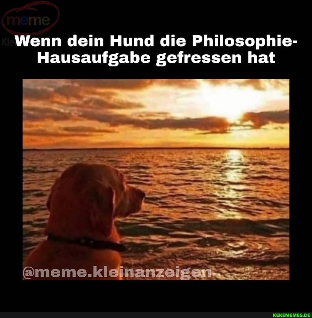 Wenn dein Hund die Philosophie-
Hausaufgabe gefressen hat