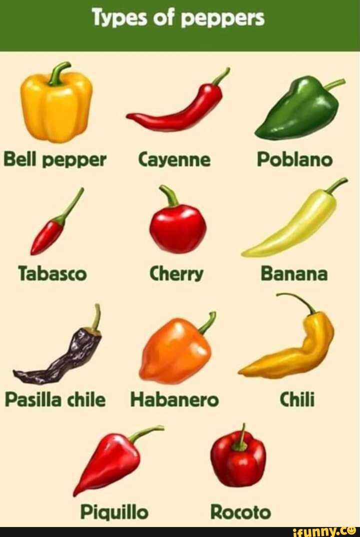 Types af peppers Bell pep per Cayenne Poblano Tabasco Cherry Banana ...