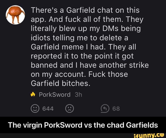 There S A Garfield Chat On This App And Fuck All Of Them They Literally Blew Up My Dms Being Idiots Telling Me To Delete A Garfield Meme I Had They All Reported