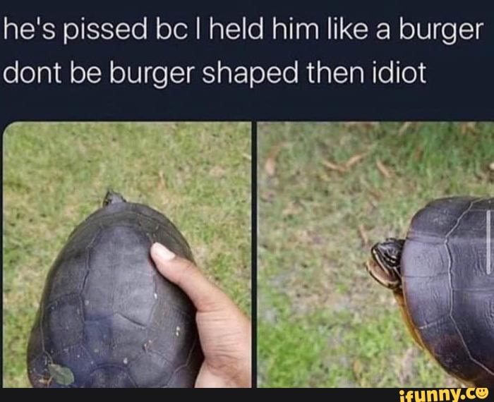 he's pissed bc I held him like a burger
dont be burger shaped then idiot