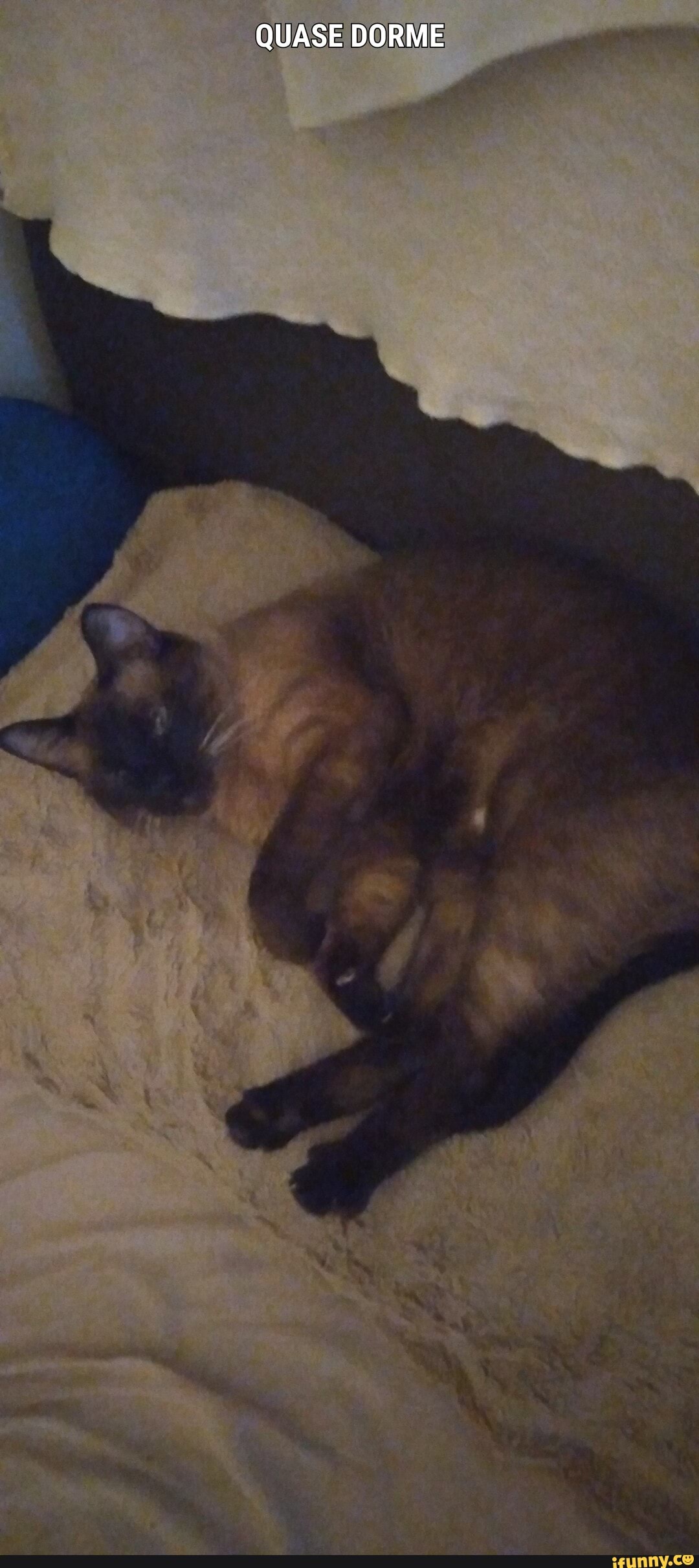 QUASE DORME
