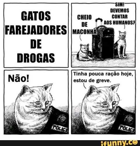 Tinha pouca ração hoje,