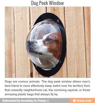 Dog Peek Window
Dogs are curious animals. The dog peek window
allows man's
best friend to more
effectively keep watch over his territory from
that cowardly neighborhood cat, the conniving squirrel, or those
annoying plastic bags that always fly by.