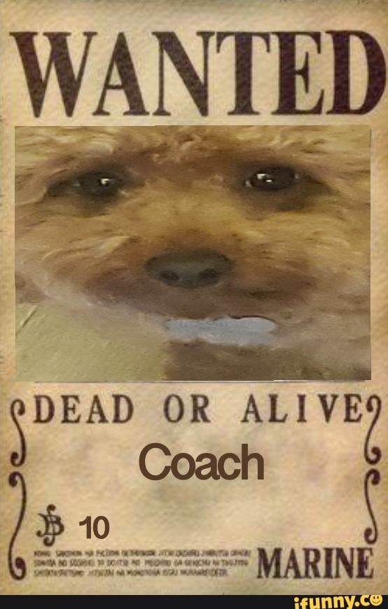 DEAD OR ALIVE Coach
MARINE