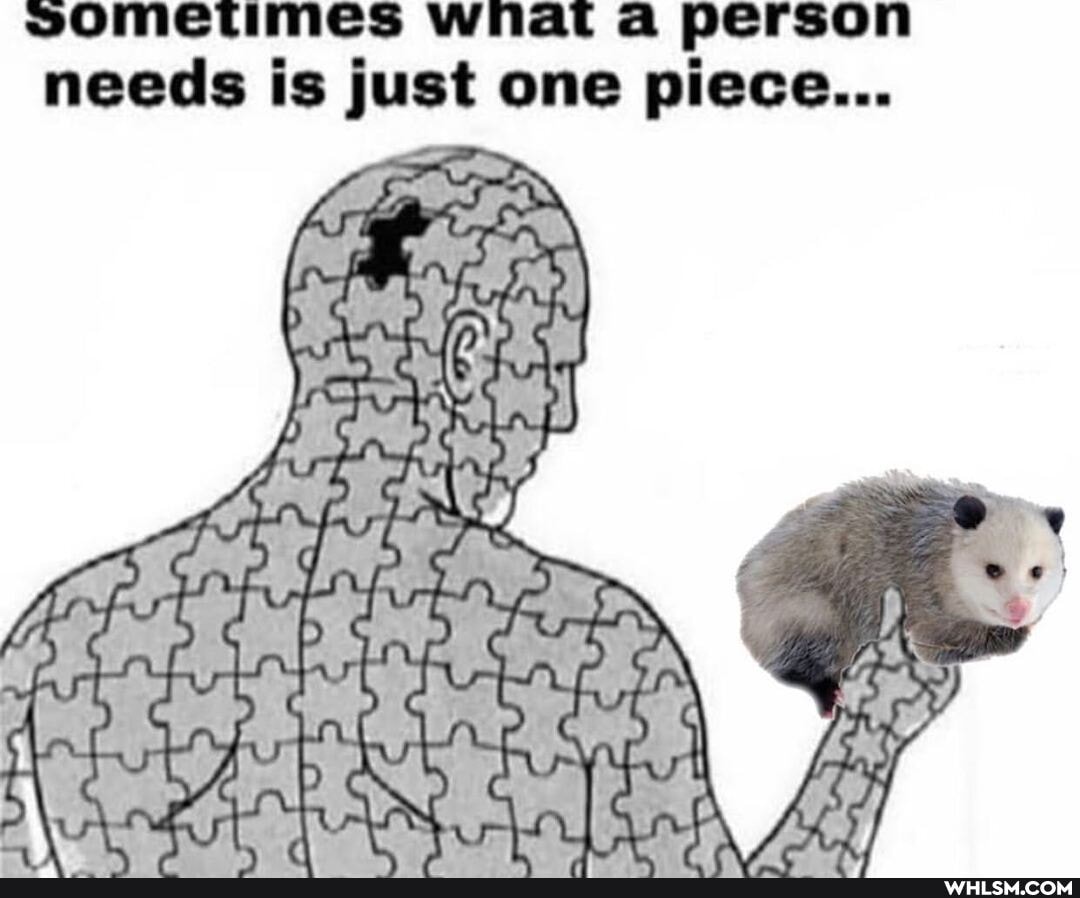 sometimes wnat a person needs is just one piece...