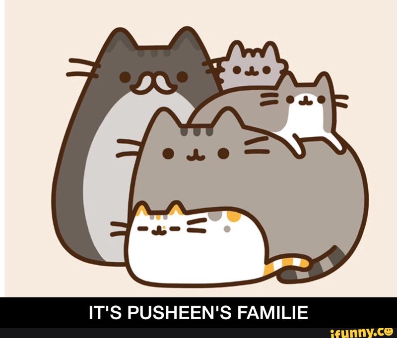 IT'S PUSHEEN'S FAMILIE - IT'S PUSHEEN'S FAMILIE - )