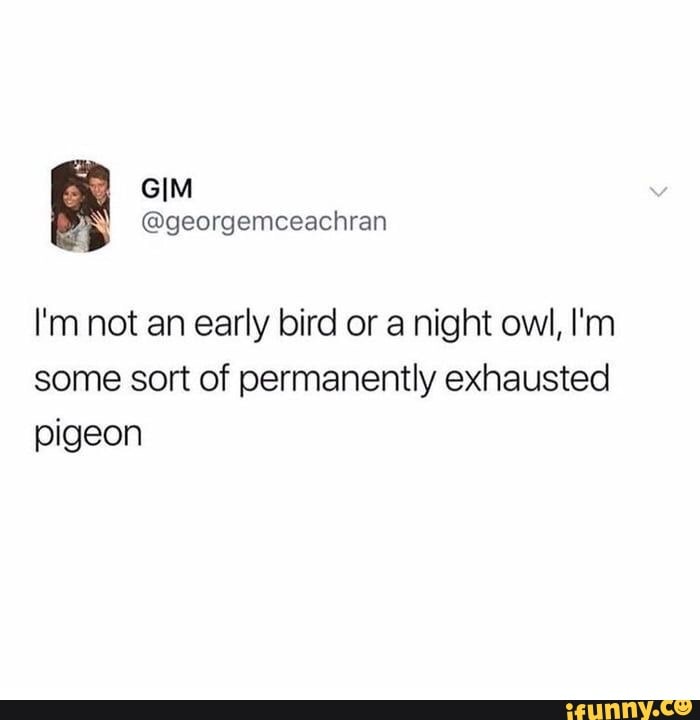 I'm not an early bird or a night owl, I'm some sort of permanently exhausted pigeon