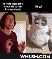 Me trying to explain to cat why he cant My cat
'have mor treats