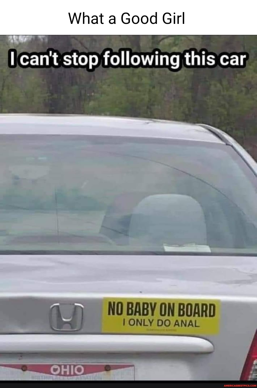 93179e3cc70c3b24829beb878fd18dc7a3276eef87fcde8b3170677bf3d42c83_1.jpg