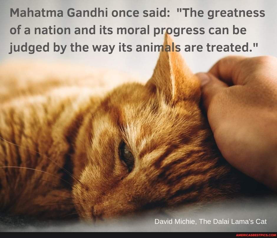 Mahatma Gandhi once said: 