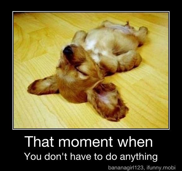 That moment when
You don't have to do anything - That moment when
You don't have to do anything