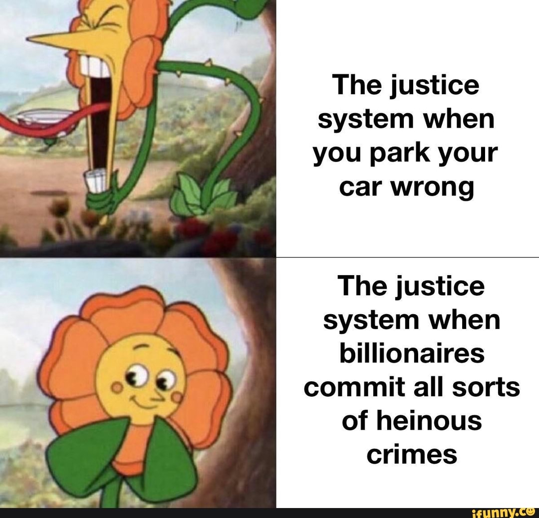 The justice
system when
you park your
car wrong
The justice
system when
billionaires
commit all sorts
of heinous
crimes