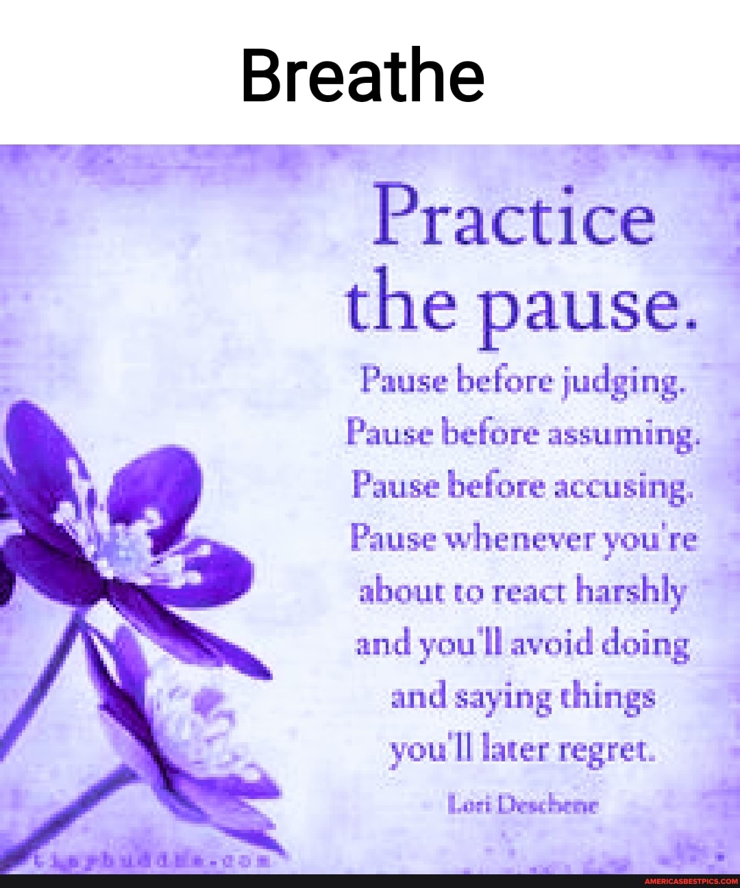 Breathe
Practice
the pause.
Pause before judging.
Pause before assuming.
Pause before accusing.
Pause whenever you re about to react harshly and you ll avoid doing
and saying things you Il later regret.
Lort Deschene