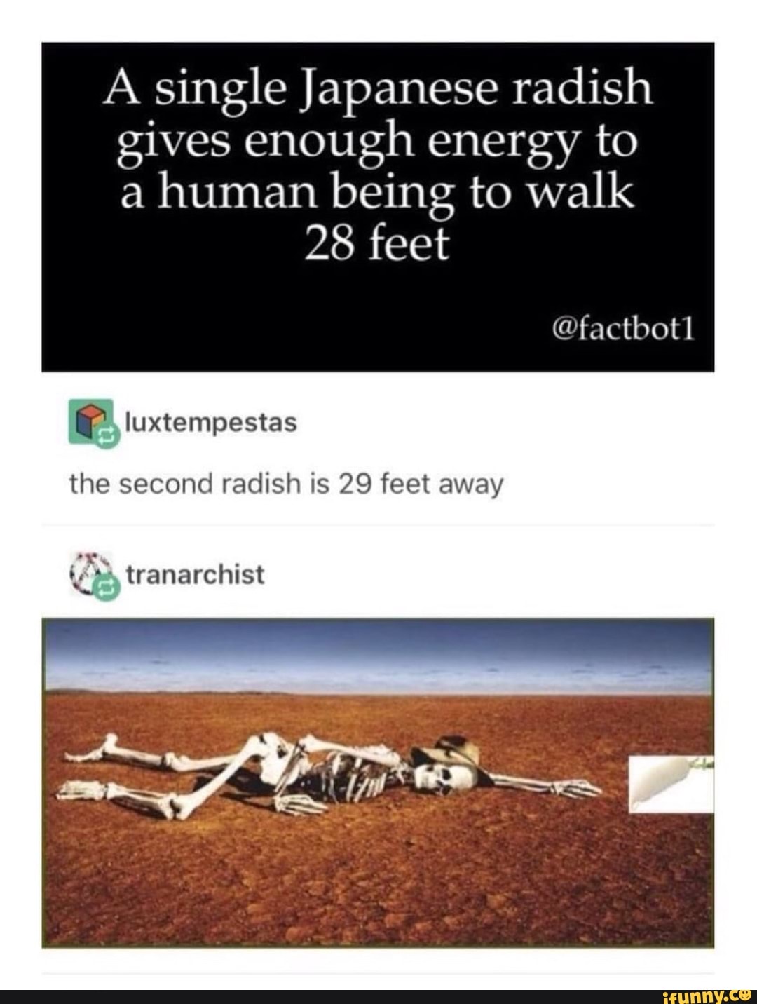 A single Japanese radish gives enough energy to a human being to walk