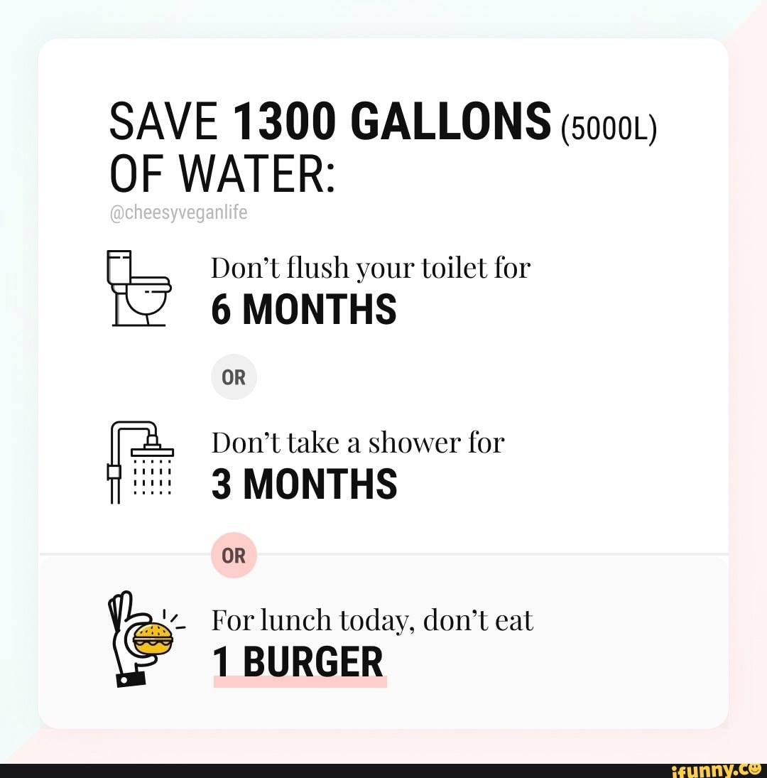 SAVE 1300 GALLONS (5000)
OF WATER:
is Don't flush your toilet for
6 MONTHS
Don't take a shower for
3 MONTHS
ie For lunch today, don't eat
1 BURGER