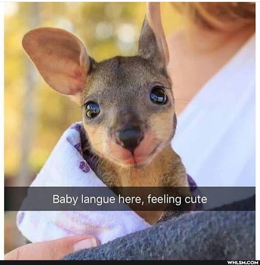 Baby langue here, feeling cute