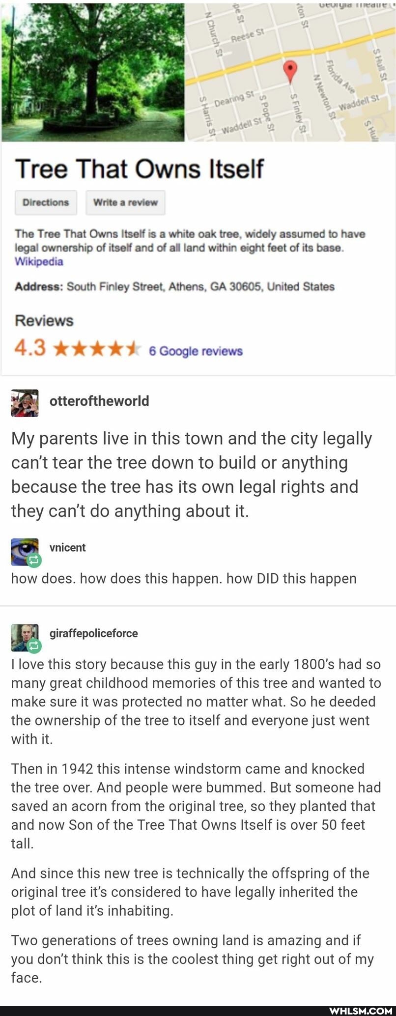 Tree That Owns Itself
Directions Write a review
The Tree That Owns Itself is a white oak tree, widely assumed to have legal ownership of itself and of all land within eight feet of its base.
Wikipedia
Address: South Finley Street, Athens, GA 30605, United States
Reviews
4.3 6 Google reviews
My parents live in this town and the city legally can't tear the tree down to build or anything because the tree has its own legal rights and they can't do anything about it.
how does. how does this happen. how DID this happen
I love this story because this guy in the early 1800's had so many great childhood memories of this tree and wanted to make sure it was protected no matter what. So he deeded the ownership of the tree to itself and everyone just went with it.
Then in 1942 this intense windstorm came and knocked the tree over. And people were bummed. But someone had saved an acorn from the original tree, so they planted that and now Son of the Tree That Owns Itself is over 50 feet tall.
And since this new tree is technically the offspring of the original tree it's considered to have legally inherited the plot of land it's inhabiting.
Two generations of trees owning land is amazing and if you don't think this is the coolest thing get right out of my face.