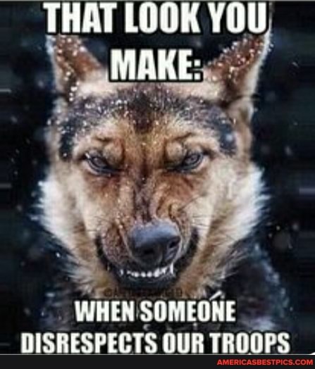 THAT LOOK YOU
MAKE:
WHEN:
DISRESPECTS OUR TROOPS