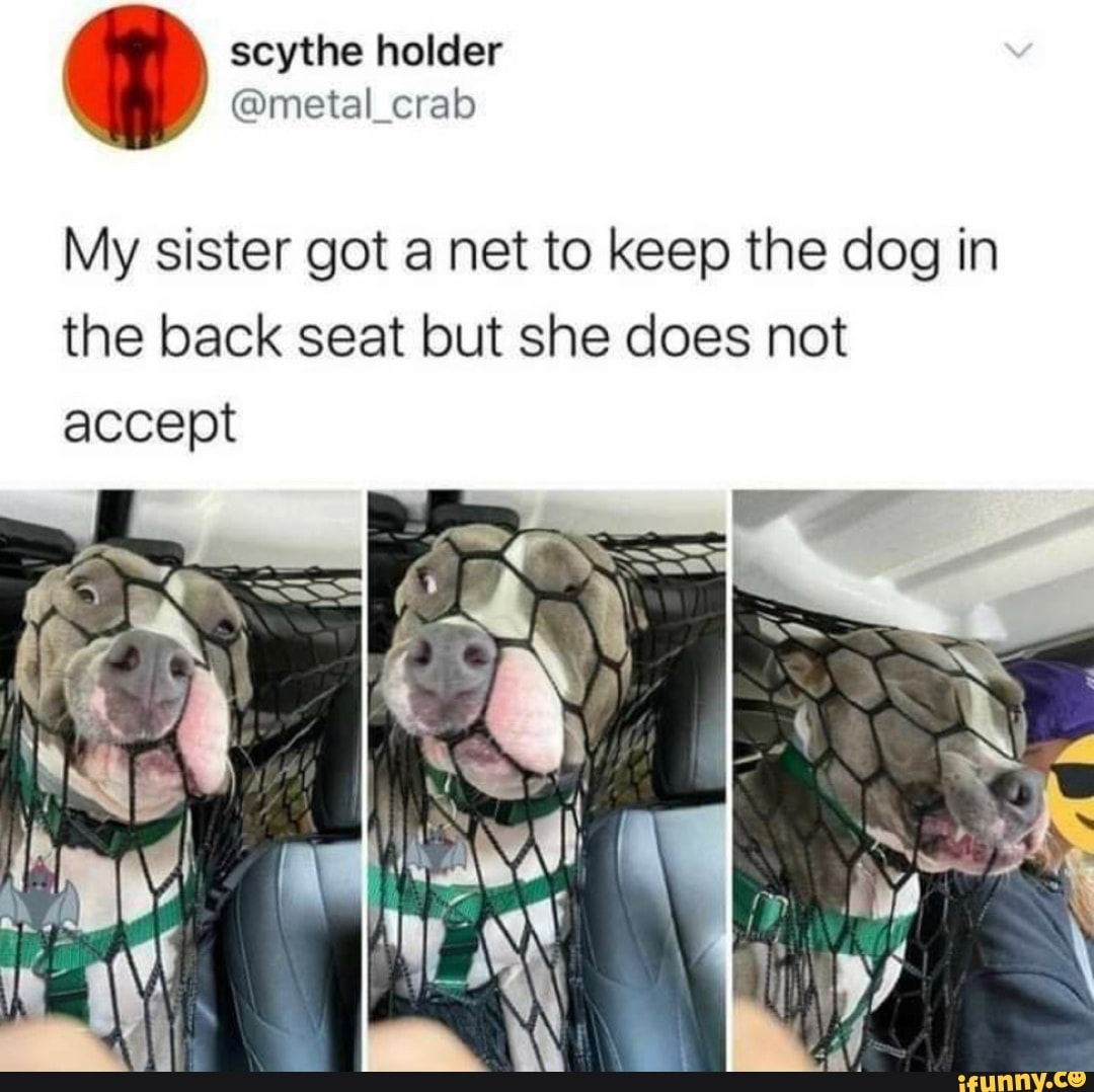 scythe holder
@metal crab
My sister got a net to keep the dog in the back seat but she does not accept