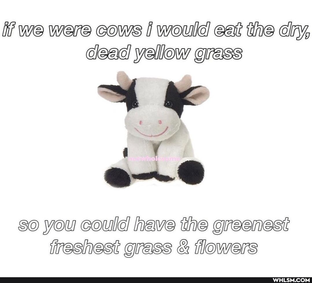 if we ware cows would! eat the yellow grass
So you could have the greenest freshest iflowers